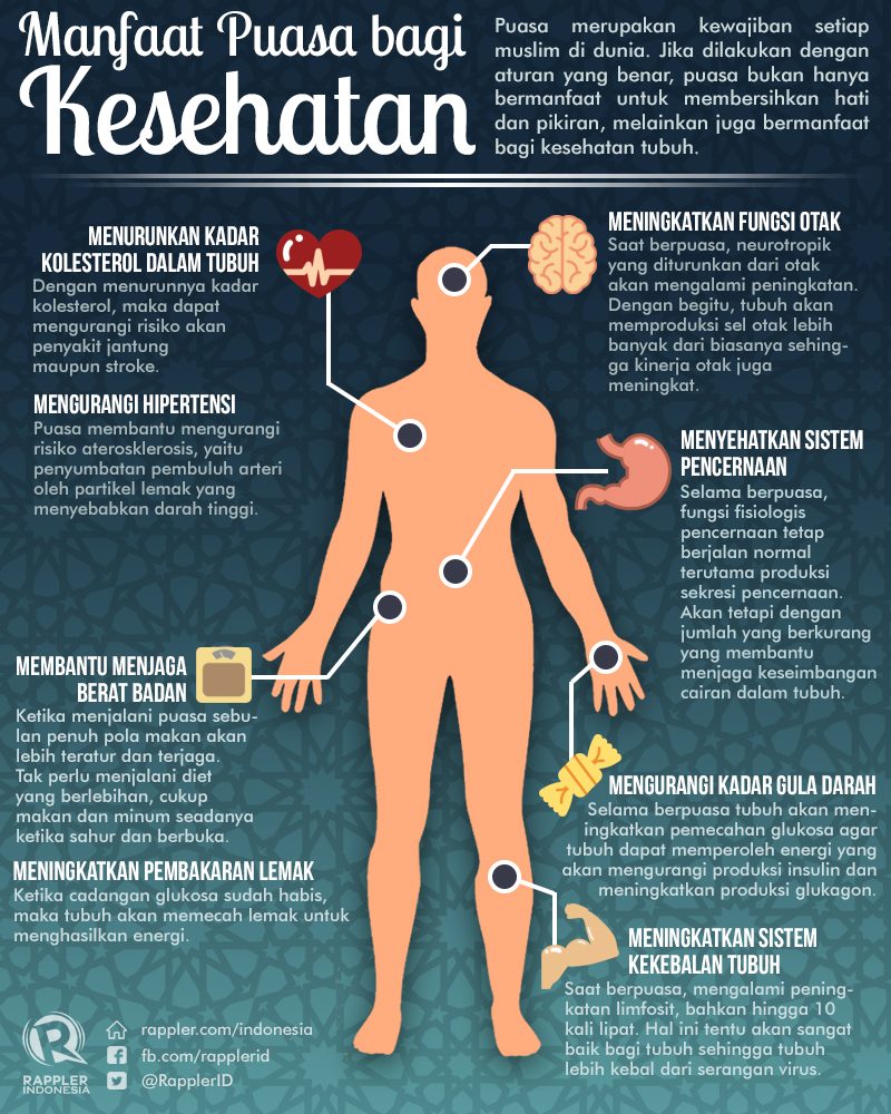 Manfaat Puasa Rev Manfaat Puasa Rev