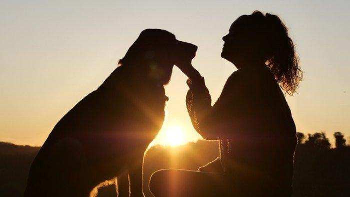 Ramalan Zodiak Besok 24 Februari 2024 Untuk Aries Taurus Dan Gemini Karir Cinta Dan Kesehatan 2