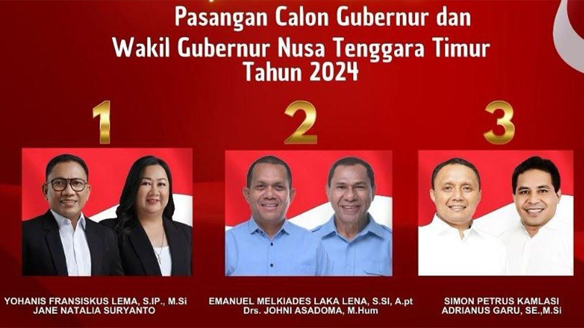 Survei Elektabilitas Pilkada Ntt 2024