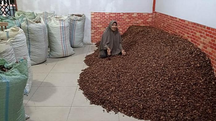 Toke Kakao Kering Di Aceh Tenggara