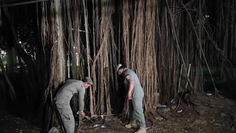 202307252241 Main.cropped 1690299721 1