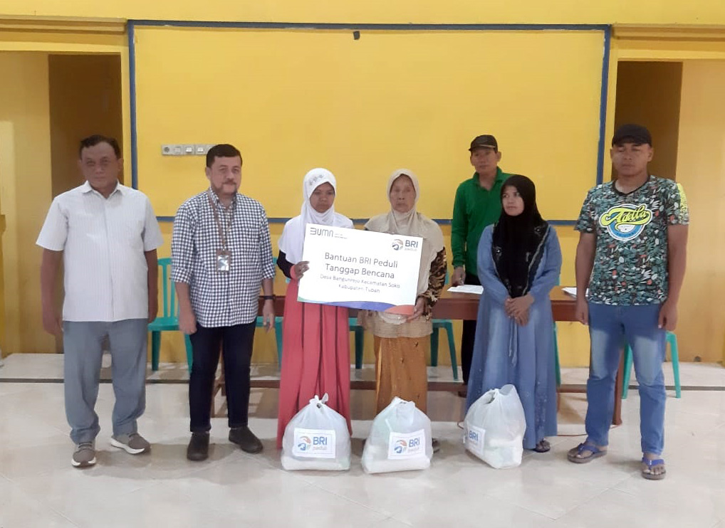 20240228 1549 Brii 1