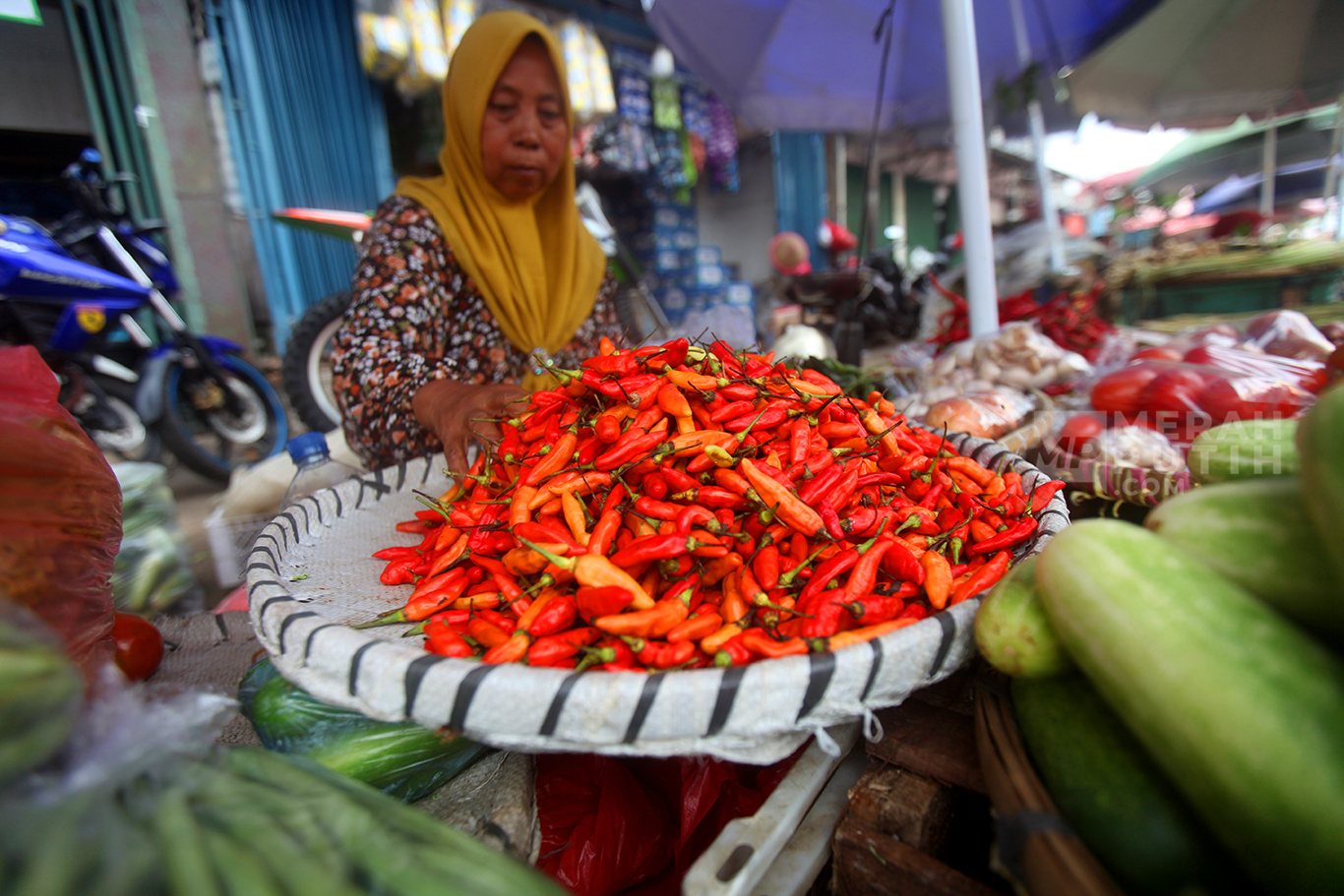 2374551764ea9e8eb3466c28ad75f7b6