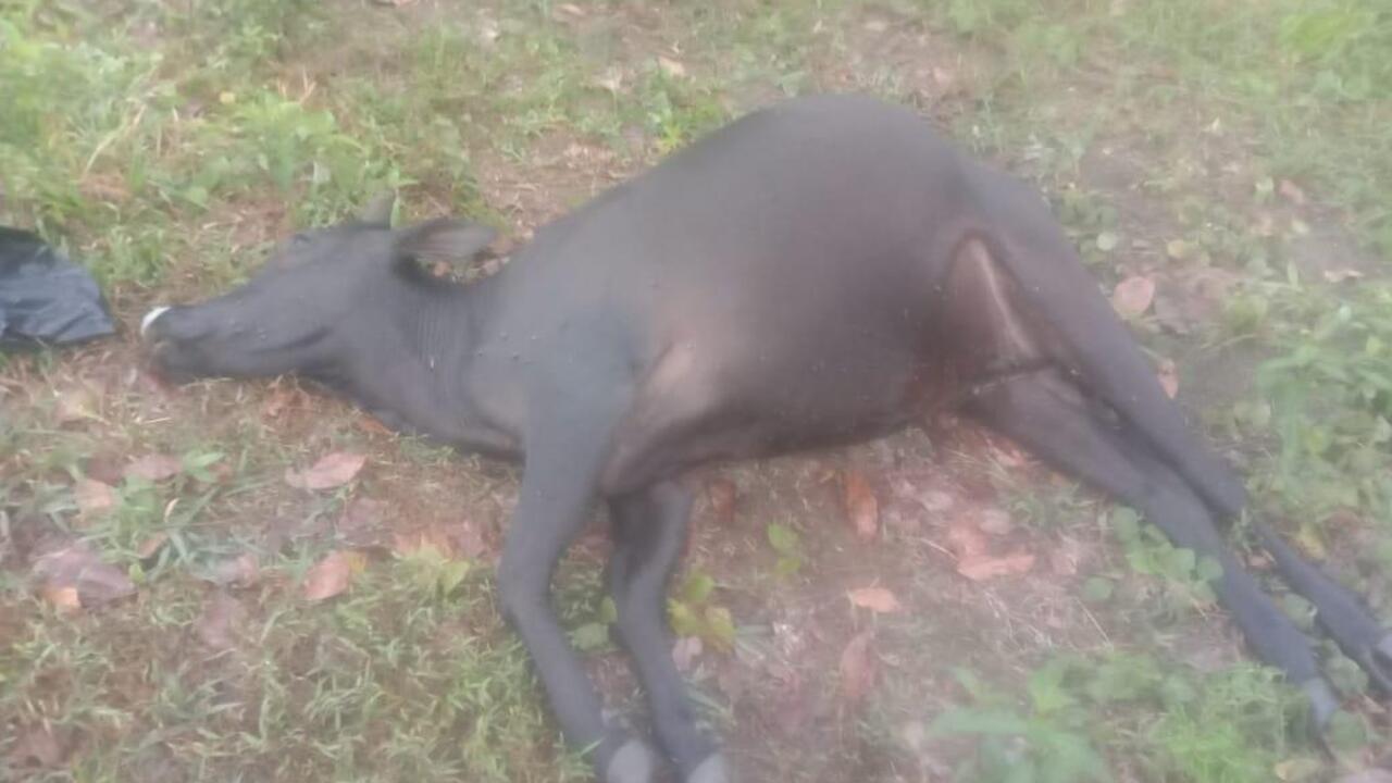 2bcc9c3fb4613b7604172c778f61ca5a