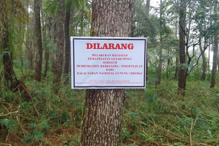 3833341287 3833341287