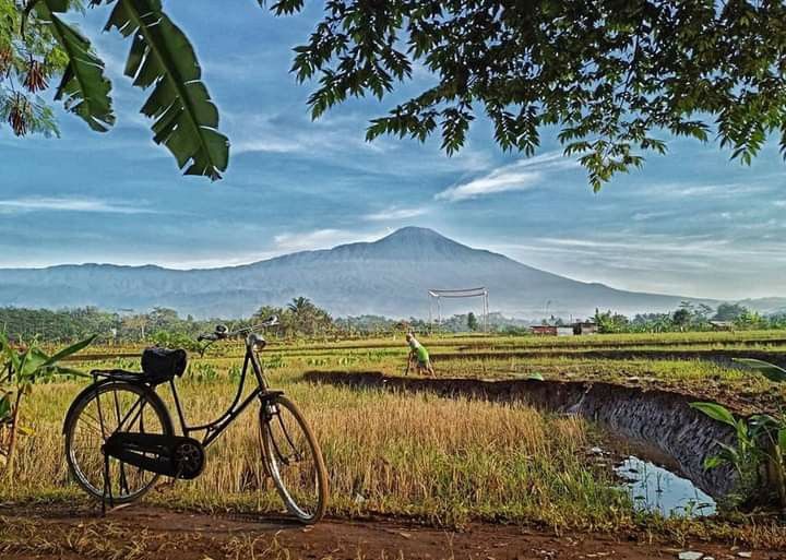 46a1c4efbe54142f6ee023a47e88652c