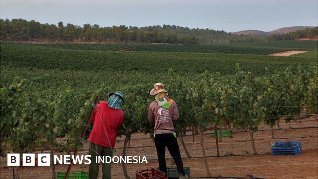 52b36050 669d 11ee A0c8 Ab8a89e71afa