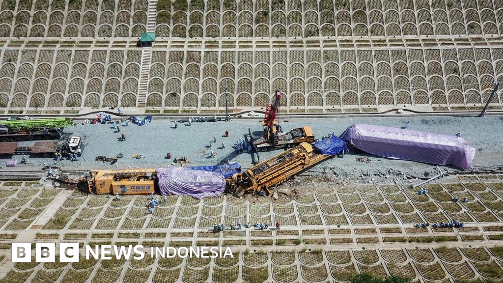 5b3137c0 7f8a 11ed B107 C38bd6398bdd 1