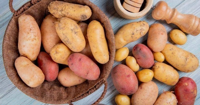 Aa1xiqai 1 Aa1xiqai 1