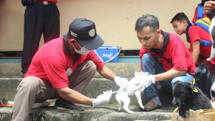 Beri Vaksin Pada Anjing Rabies 20160427 154601 1