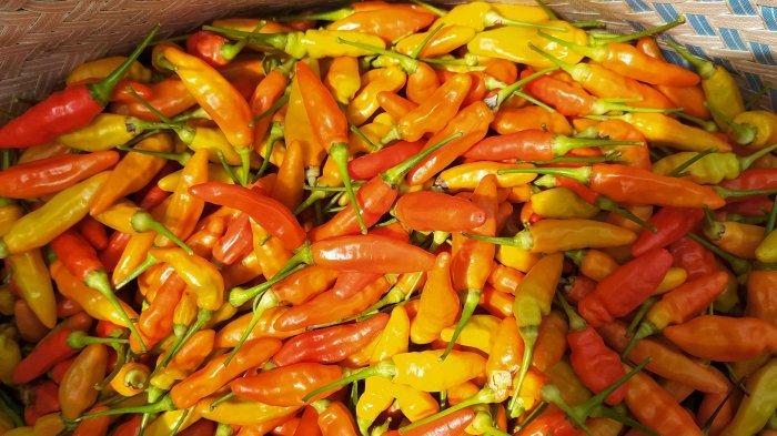 Cabai Rawit Merah 27423