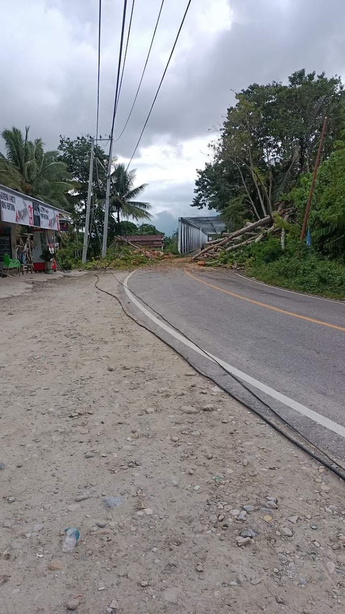 Fb Img 1646623054021 1