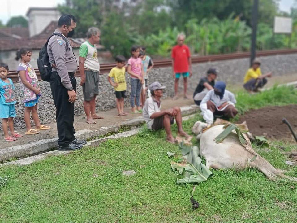 Fb Img 1654759657479