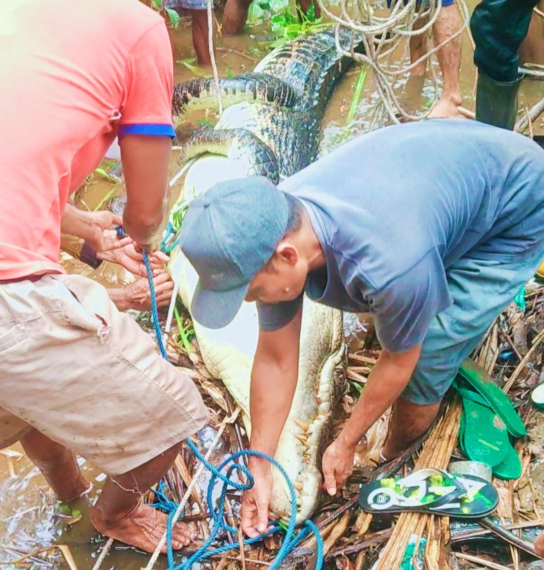 Img 20240820 221238 2