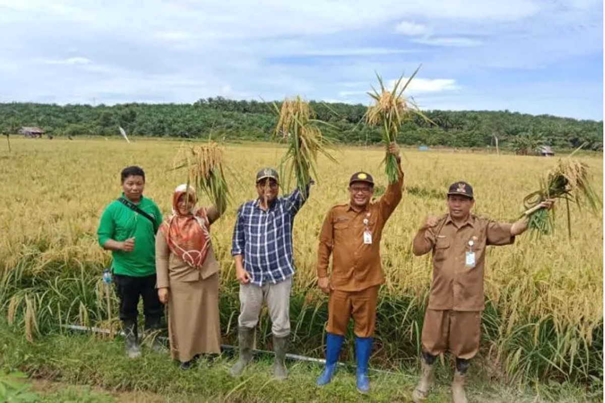 Kabupetan Paser Berhasil Mewujudkan Swasembada Pangan Khusu G1kq 1