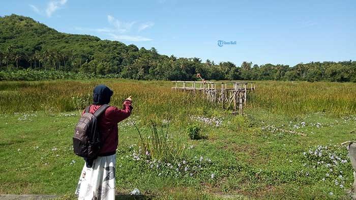 Kondisi Danau Yeh Malet Desa Antiga Kelod Kecamatan Manggis Kamis 462020 1