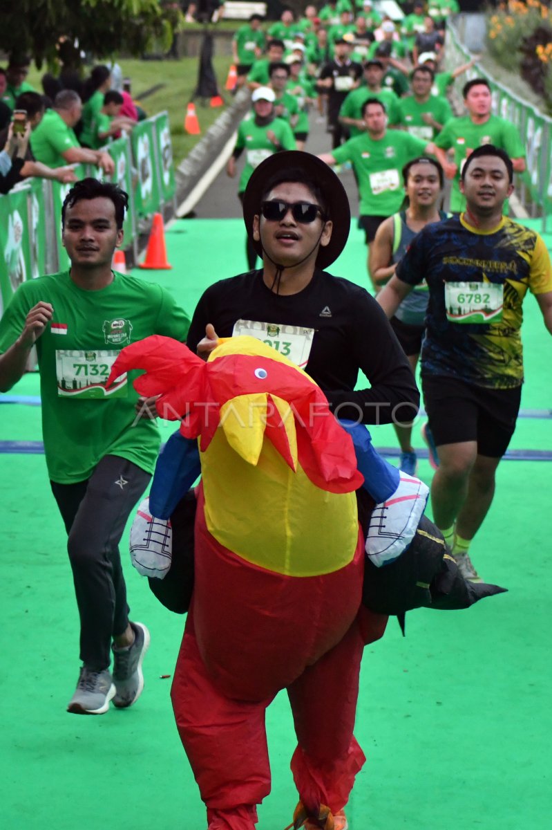 Lomba Lari Di Kebun Raya Bogor 172w6 Dom