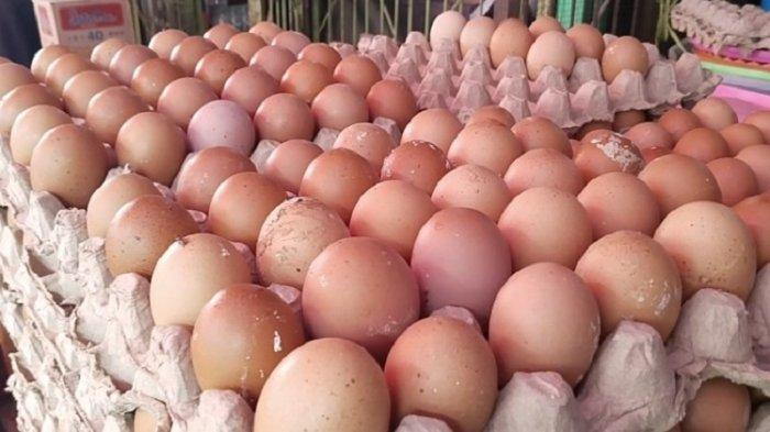 Penampakan Telur Di Pasar Topoyo Mamuju Tengah 2