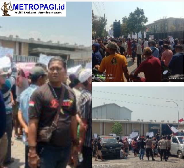 Screenshot 20231018 114048 1