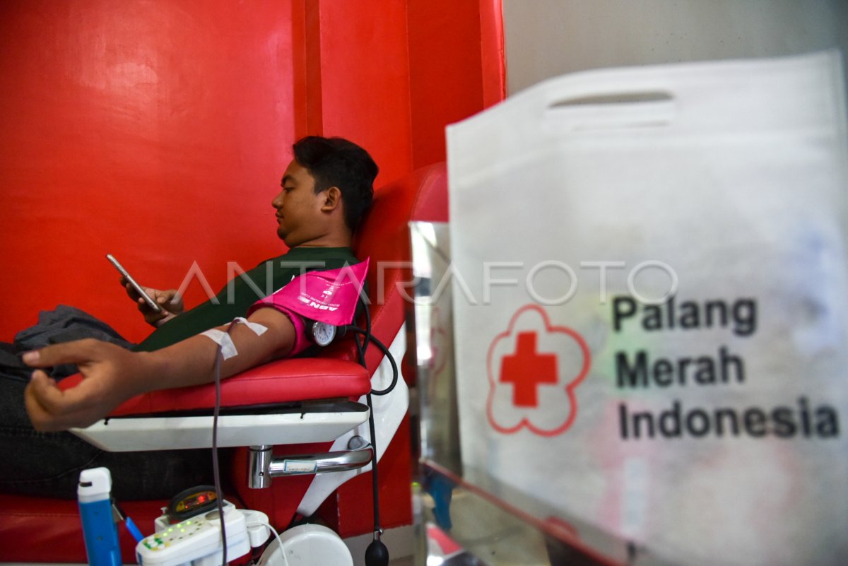 Stok Darah Pmi Medan Menipis 16h06 Dom
