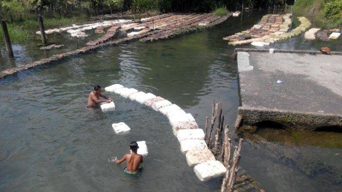 Update Harga Karet Sumsel Di Palembang Pertengahan Agustus 2021 1