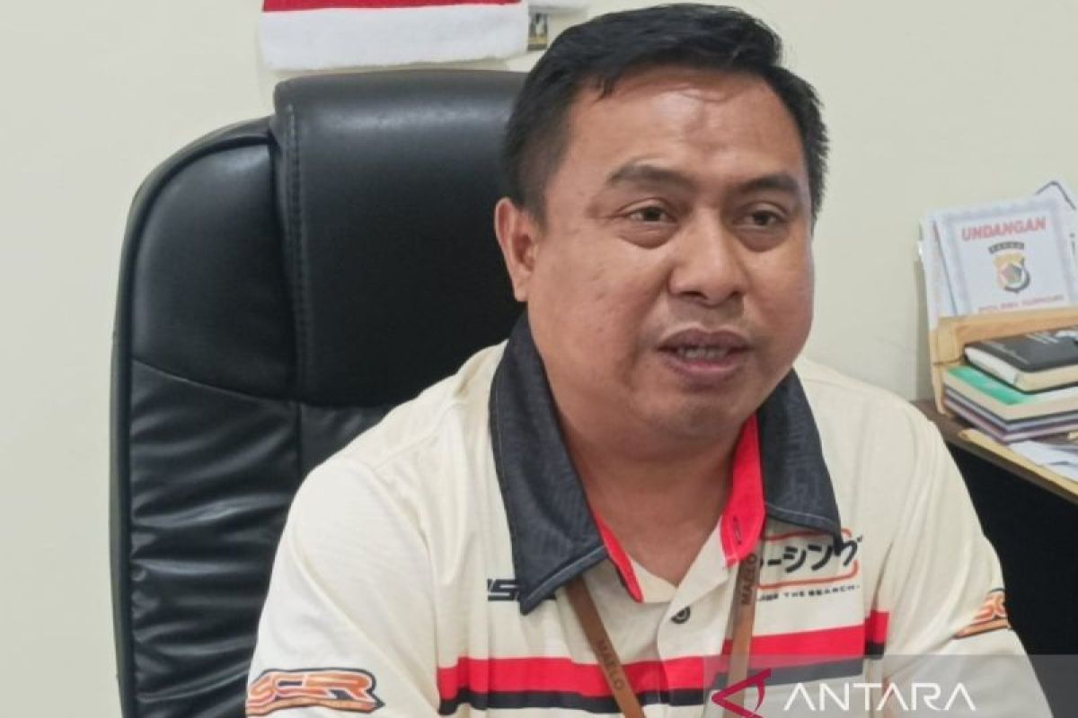 Z2 20241115 21133755